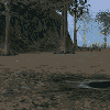 arleckin36