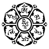 kleineaster