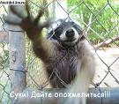 ZloyIce