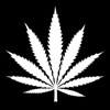 dopedealer