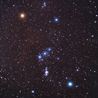 Orion