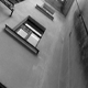 black_room_dog