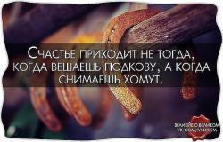 post-23684-1392538123_thumb.jpg