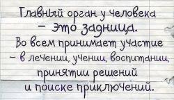 post-23684-1392538240_thumb.jpg